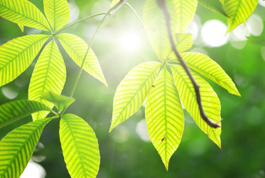 Similar image 967520