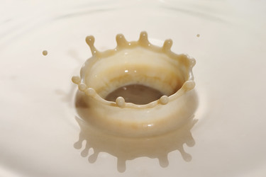 Similar image 967528