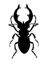 Similar image 967548