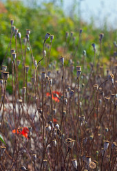 Similar image 967598