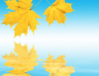 Similar image 967619