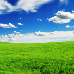 Similar image 967681