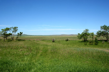 Similar image 967683