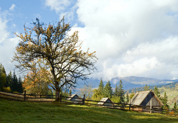 Similar image 967686