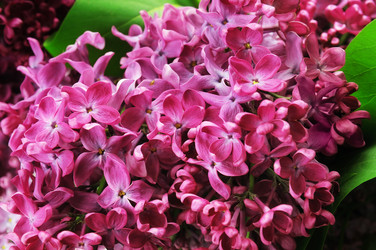 Similar image 967720