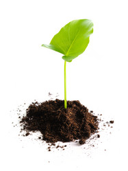 Similar image 967724