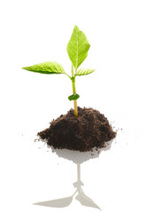 Similar image 967727