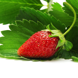 Similar image 967748