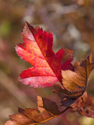 Similar image 967919