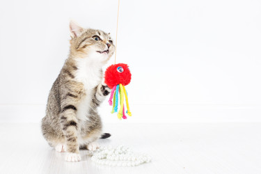 Similar image 967937