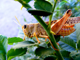 Similar image 967979