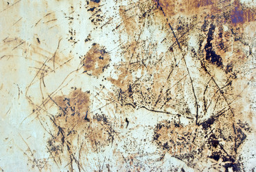 Similar image 968041