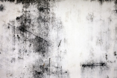 Similar image 968048