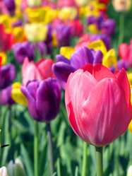 Similar image 968165