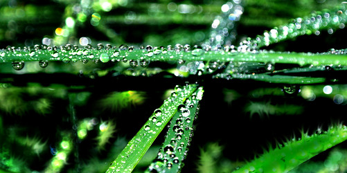 Similar image 968200