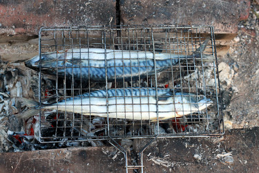 Similar image 968206