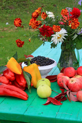 Similar image 968407