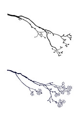 Similar image 968432