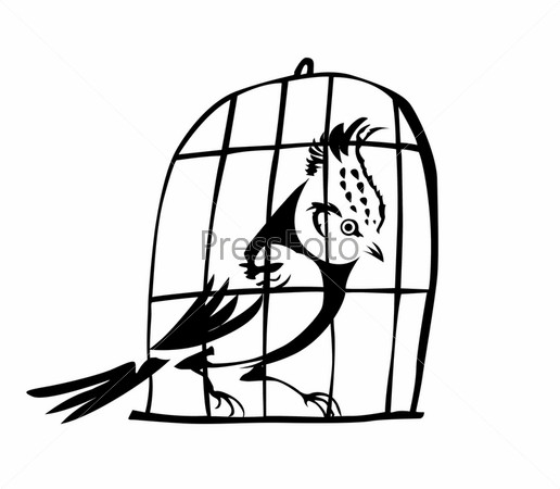 Раскраска Попугай в клетке — Раскраски для детей печать онлайн