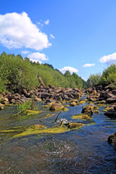 Similar image 968445