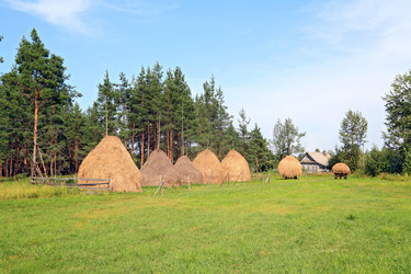 Similar image 968450