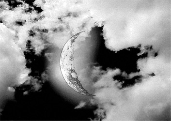 Similar image 968486