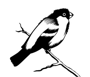 Similar image 968521