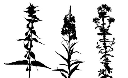 Similar image 968561