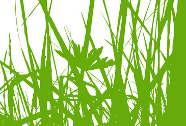 Similar image 968574