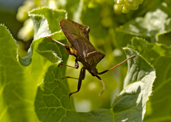 Similar image 969047