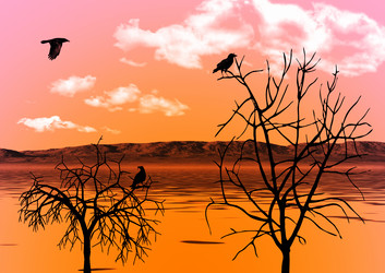 Similar image 969354