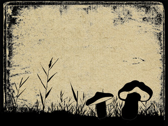 Similar image 969520