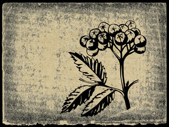 Similar image 969657