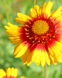 Similar image 969763