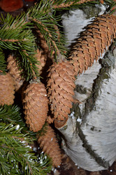 Similar image 969810