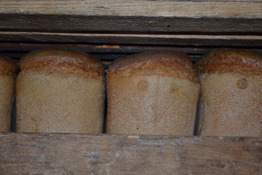 Similar image 969823