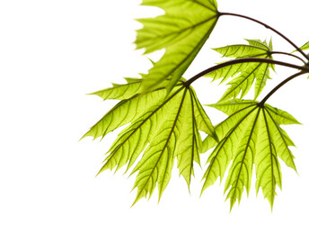 Similar image 969874