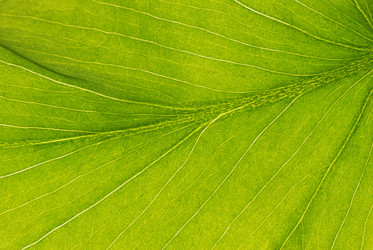 Similar image 969881