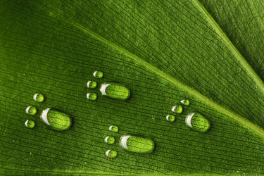 Similar image 969885