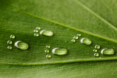 Similar image 969889