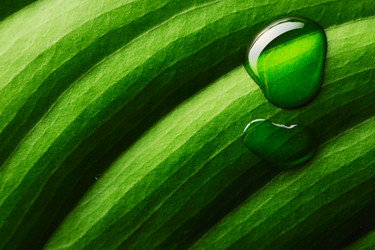 Similar image 969890