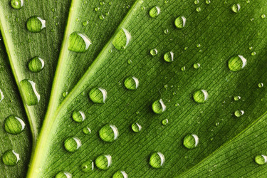 Similar image 969892