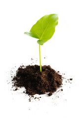 Similar image 969906