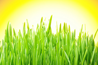 Similar image 970032