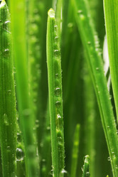 Similar image 970052