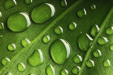 Similar image 970055