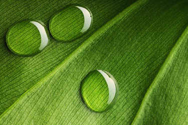 Similar image 970069