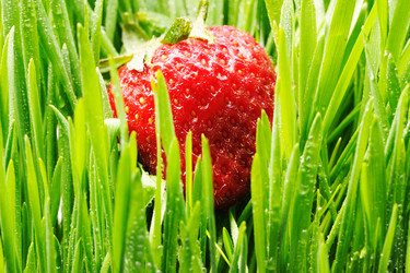 Similar image 970080