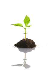 Similar image 970112