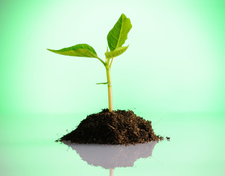 Similar image 970118